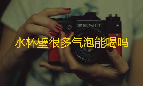 高能英雄科技永久开挂免费水杯壁很多气泡能喝吗